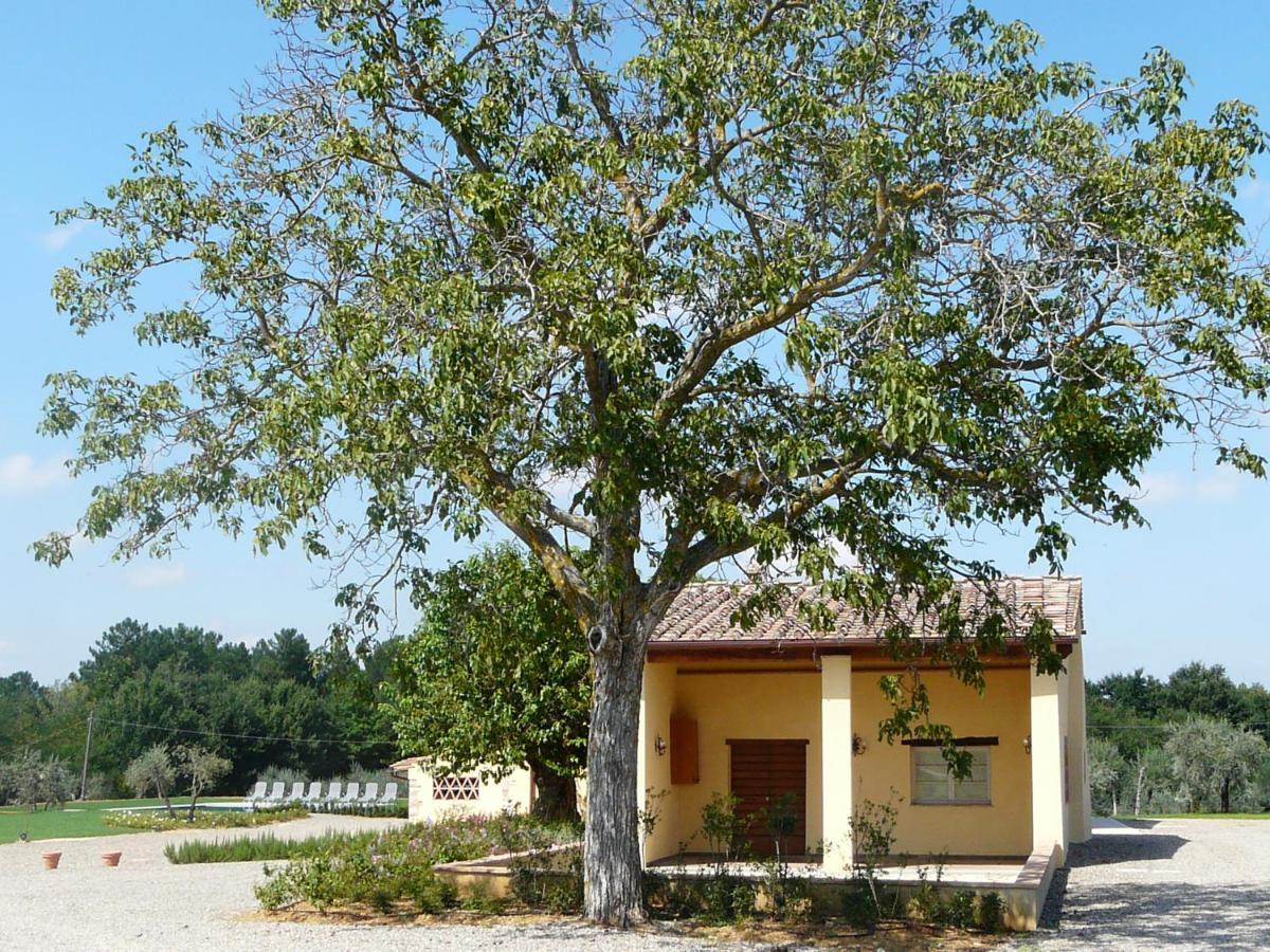 Villa Pian De Noci - Tenuta Del Palagio Mercatale Val Di Pesa Экстерьер фото